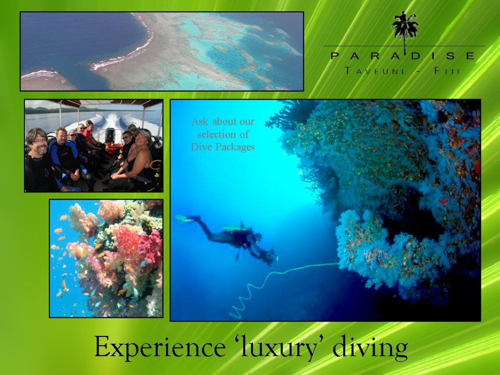 Experience ‘luxury’ diving Ask about our selection of Dive Packages
